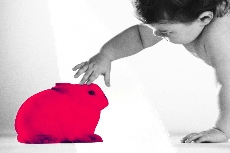 Toddler playing with a bunny.